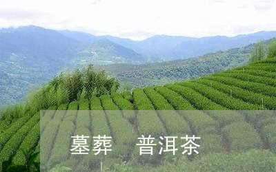 墓葬 普洱茶/2023042878370